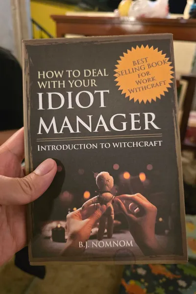 How To Deal With Your Idiot Manager 2