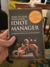 How To Deal With Your Idiot Manager 2