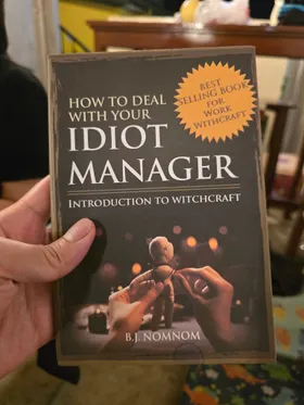 How To Deal With Your Idiot Manager 2