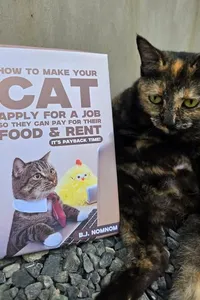 How To Make Your Cat Apply For A Job So They Can Pay For Their Food And Rent