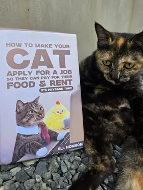 How To Make Your Cat Apply For A Job So They Can Pay For Their Food And Rent