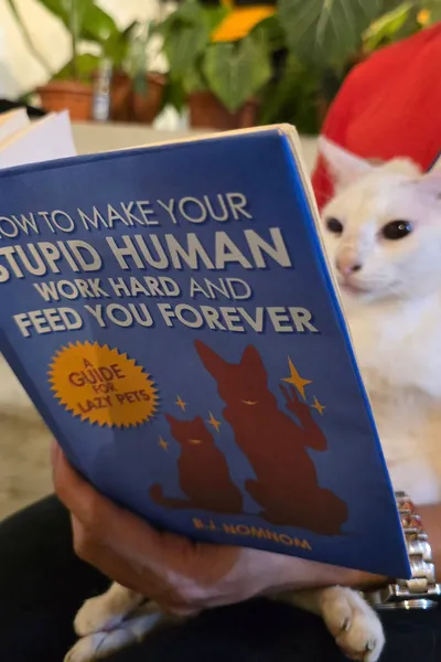 How To Make Your Stupid Human Work Hard And Feed You Forever