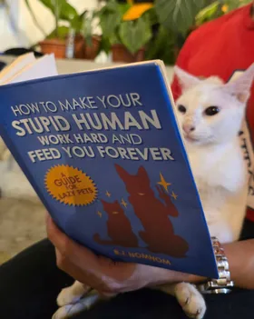 How To Make Your Stupid Human Work Hard And Feed You Forever