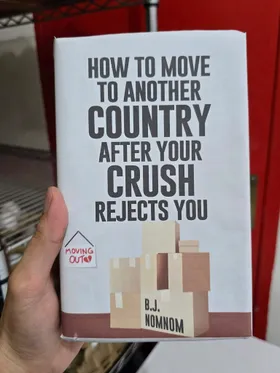 How To Move To Another Country After Your Crush Rejects You