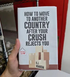 How To Move To Another Country After Your Crush Rejects You