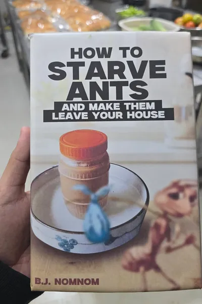 How To Starve Ants And Make Them Leave Your House