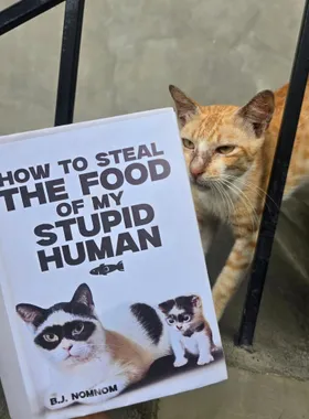 How To Steal The Food Of My Stupid Human